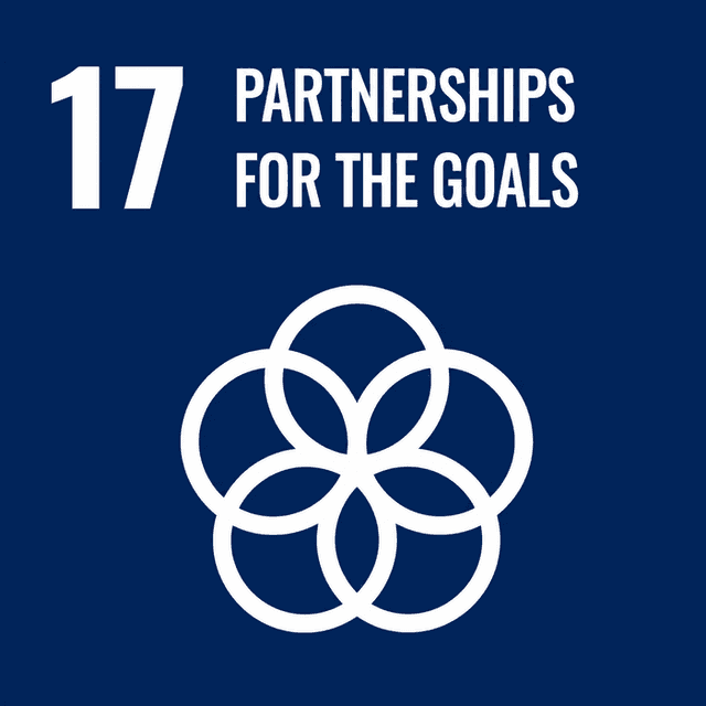 SDG 17 — Partnerships for the Goals